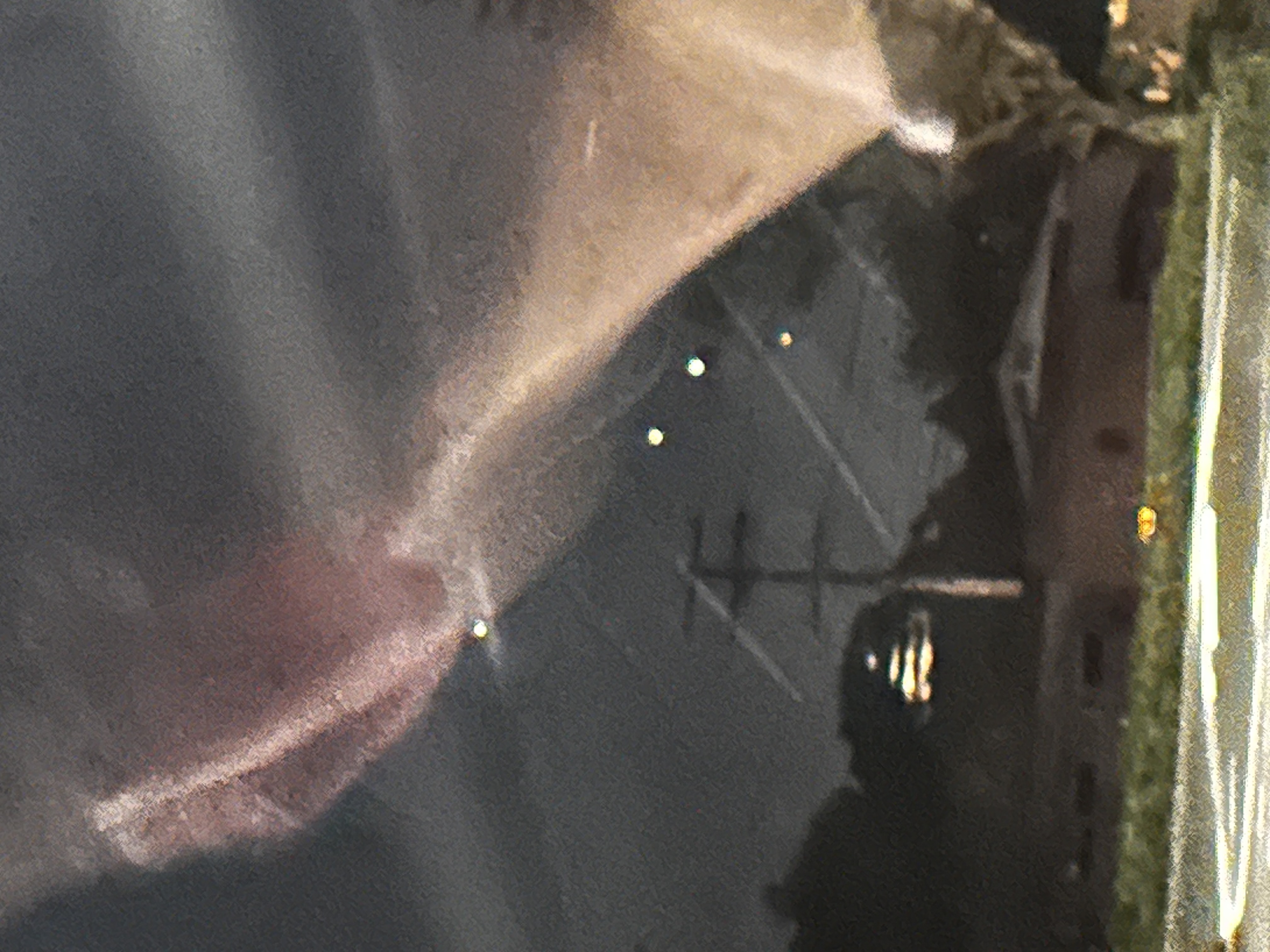 Image from report NUFORC_189507